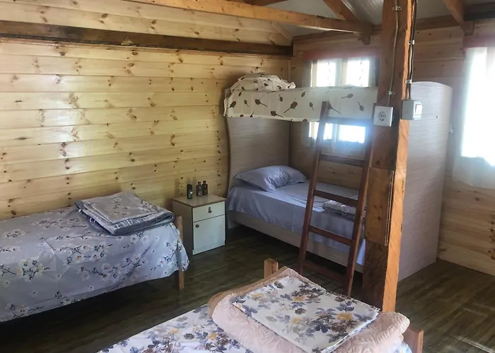 Bujtina Diti *